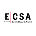 ecsa1